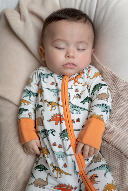 Boho Dinosaur | Zippy